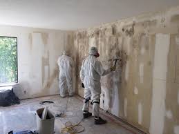 Best Emergency Mold Remediation  in Ramblewood, NJ